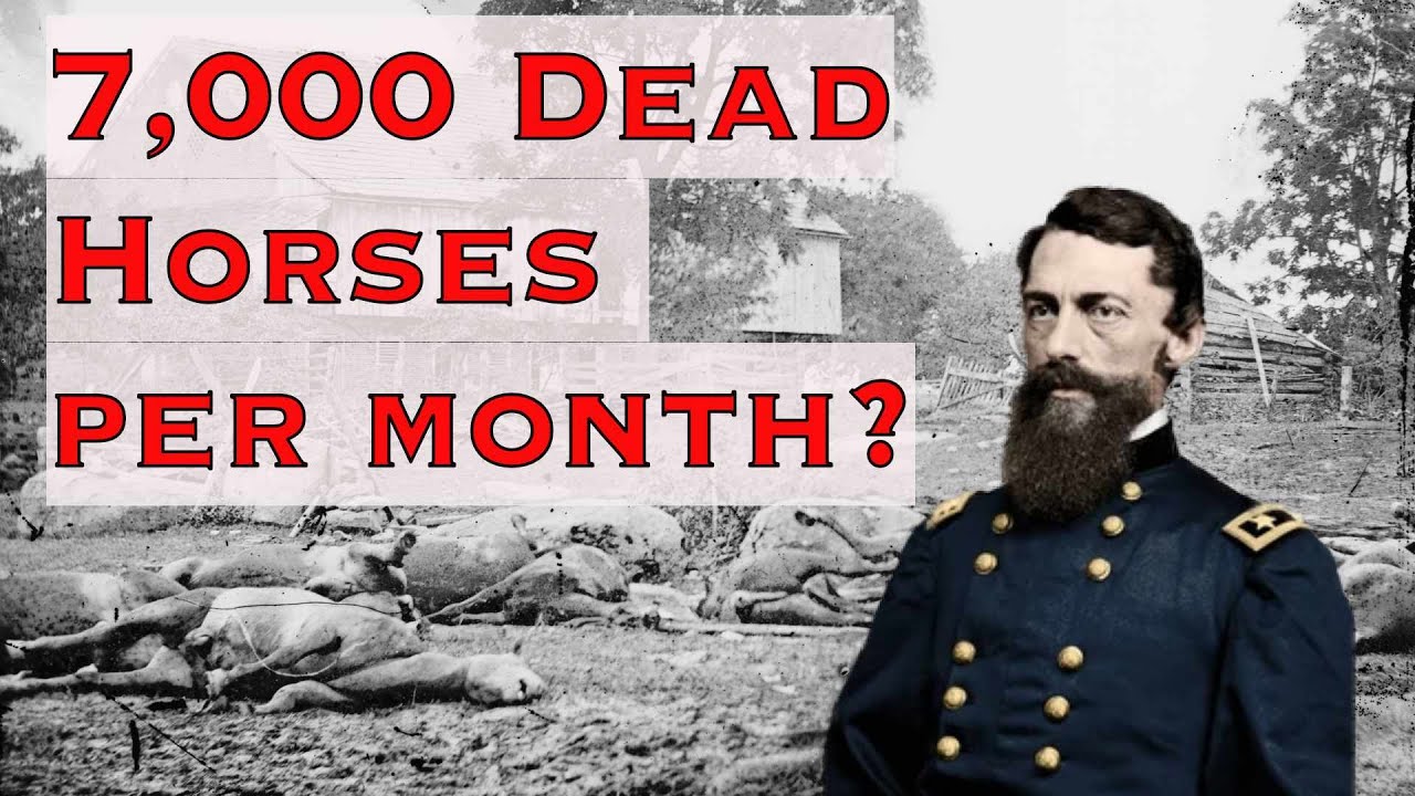 Video thumbnail for Inspectors and Horse Doctors in the Cavalry