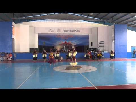 TALLER DE DANZAS POLINESIAS ITZ