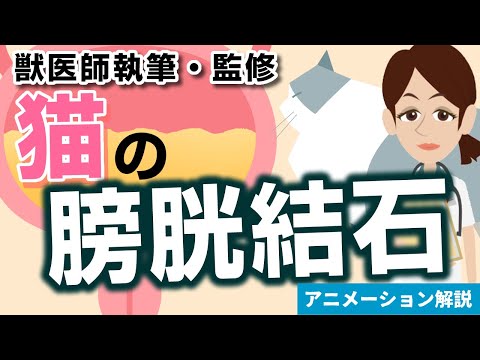 猫の膀胱を空にする方法は?