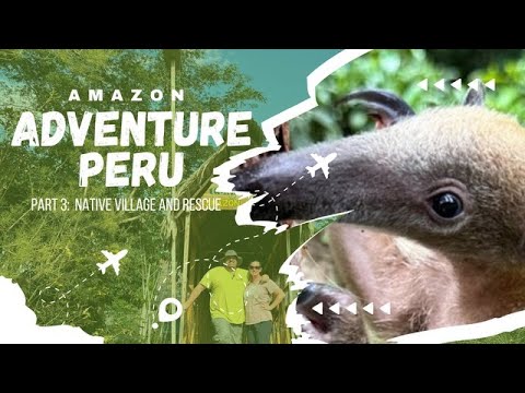 Amazon Adventure Part 3: Immersive Journey into a Native Village & Rainforest Awareness Rescue