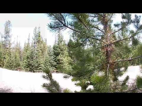 Uber Service in the Mountains!