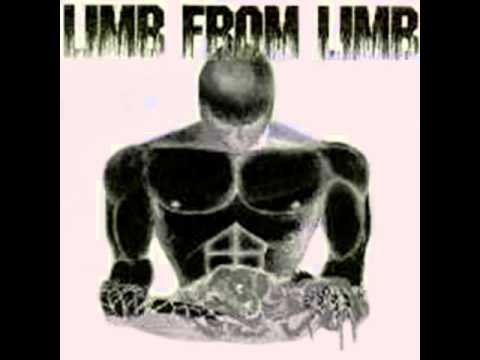 Limb From Limb - Nothing Will Survive (2003) [Full Album] Selfrelease