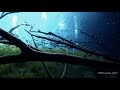 Scuba Diving Mexico - Cenotes El Pit, Calavera & Carwash (2019)