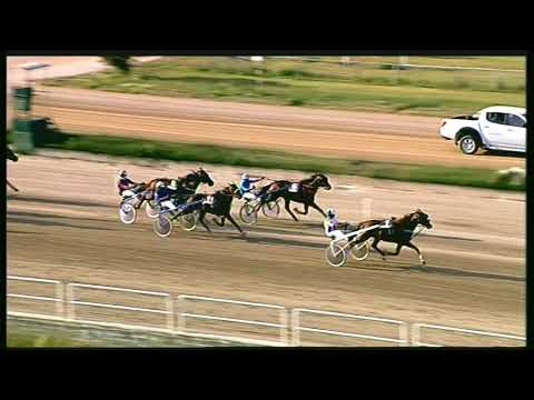 Trotto 11/09/2020 - 6ª corsa