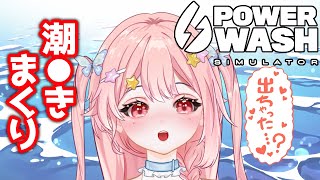 【 #新人vtuber 】高圧洗浄しちゃいましたww【 #パワーウォッシュシュミレーター 】