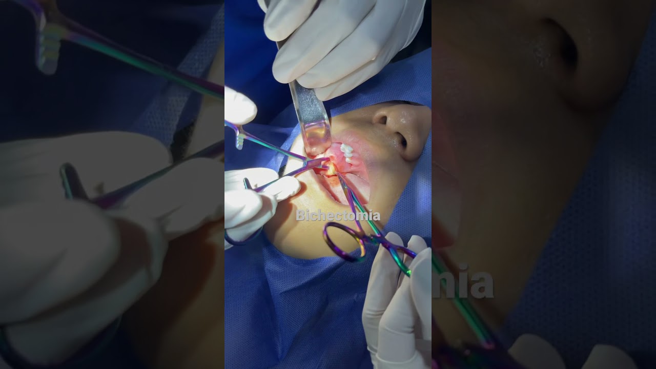 José Luis Gil Pérez-31