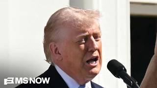 'A deranged lunatic': Democrats slam President Trump for profane post on Iran war