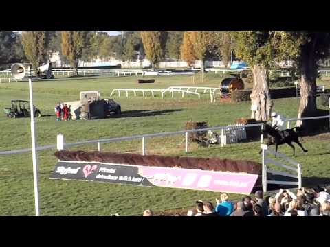 123. Velká Pardubická Hlavní dosith cílová rovinka