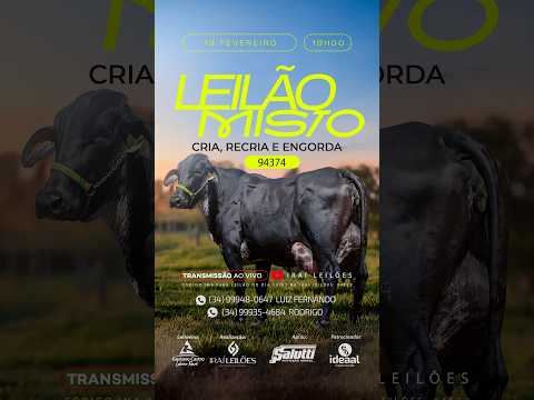 LEILÃO MISTO 19/02/2026 - IRAÍ LEILÕES - IRAÍ DE MINAS-MG