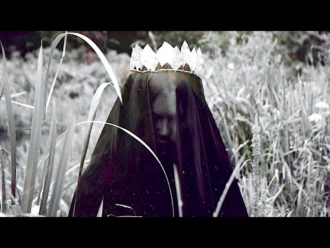 FLESH × PEAKi ╺╸ Remission