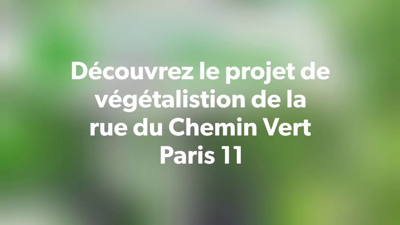 Projet de végétalistion de la rue du Chemin Vert Paris 11