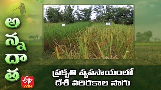 Download lagu Cultivation of Desi Paddy varieties in Natural Farming by Narsingi Brothers mp3