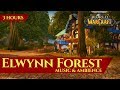 Vanilla Elwynn Forest Music & Ambience (3 hours, World of Warcraft Classic)