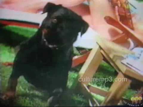 andrea boccaletti : best male model ever !