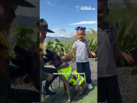 Invitación niños y niñas entre los 7 y 11 años Programa de Cívica Infantil