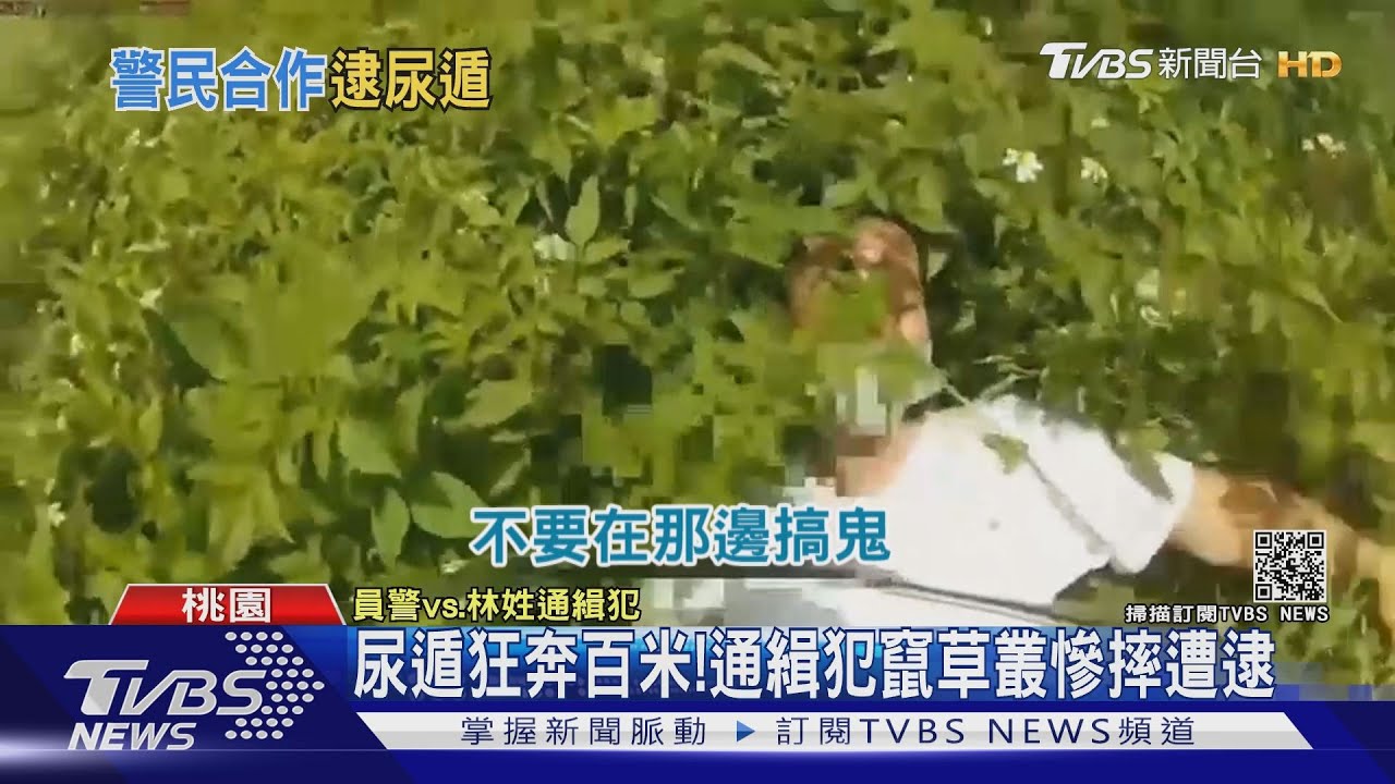 讓我上廁所!通緝犯尿遁狂奔百米給警追 熱心2騎士助壓制上銬
