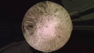 Download lagu RaumBrüder I [we are] 100 Bpm Mix HD Visuals mp3