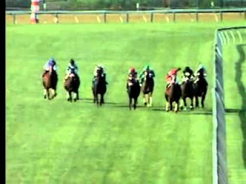 Pimlico May 20, 2011 Race 11