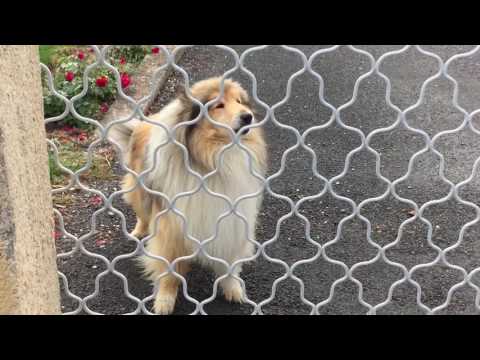 Mein Jakobsweg 2017 - Tag 23 Sainte Foy et Ponchapt - Saint Fermes