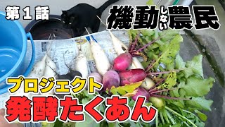 第１話「たくあん始めました」収穫から天日干しまで。
