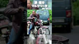 【歌みた】550円の歌い手が「涙 塩分 マルゲリータ(ナポリの男たち)」を歌いました【NORISTRY (のりすとりー)】 #shorts