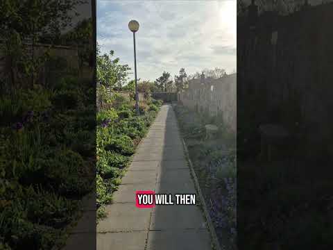 Play Video Youtube Video