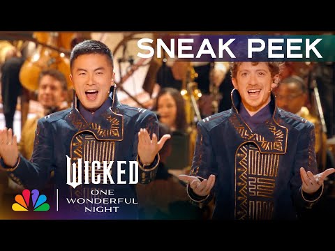 Wicked: One Wonderful Night