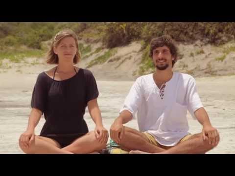 Tráiler Retrato de un comportamiento animal [WEB-DL] 2015