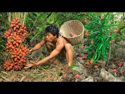 survival in the forest , Harvesting fruits in the forest