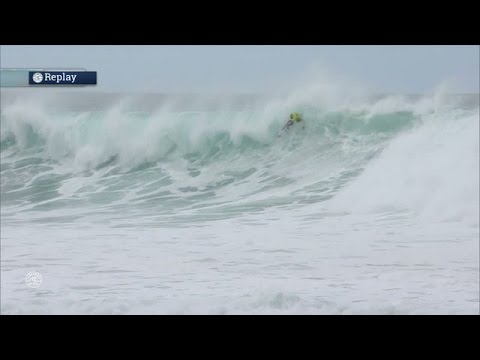 Wilko Goes Wild in Semis