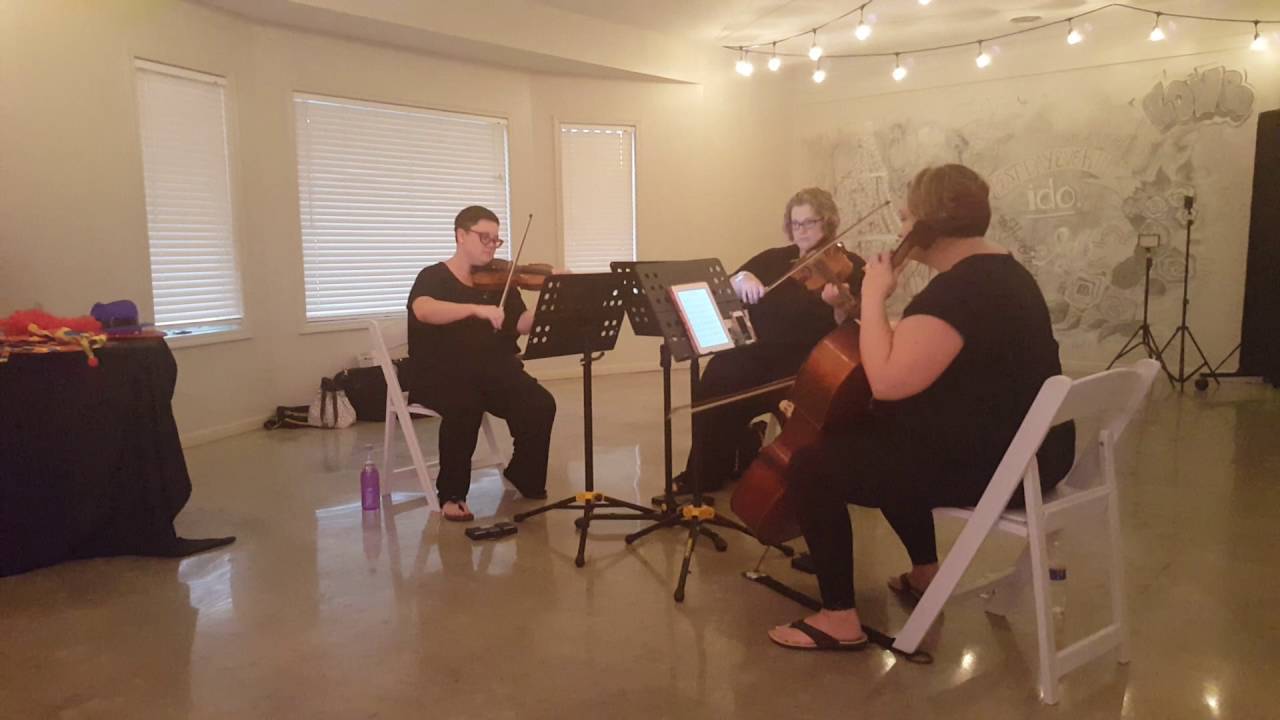 Hire Forte String Quartet in Kansas City, Missouri