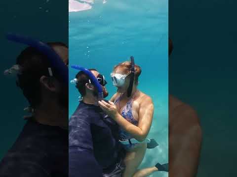 Underwater lovers 💋 #short #shorts #shortsvideo #lovers #love #videooftheday #kiss #underwater