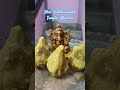 Shri Siddhivinayak Temple MUMBAI Ganesh Ganesha Siddhivinayak Status Shorts Shortvideo
