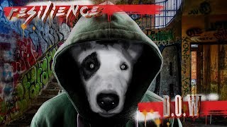 La música más fuerte y motivadora hardcore 2018 | Dj. D.O.W. (Dogs Of War - Resilience)