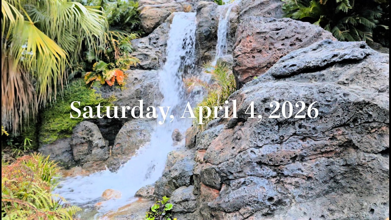 東京ディズニーリゾート　最高の4月04日を迎える為の動画 東京ディズニーランド