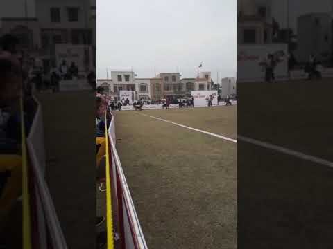 GSDCP SHOW OPEN MALE CLASS 2019 Bahria Town