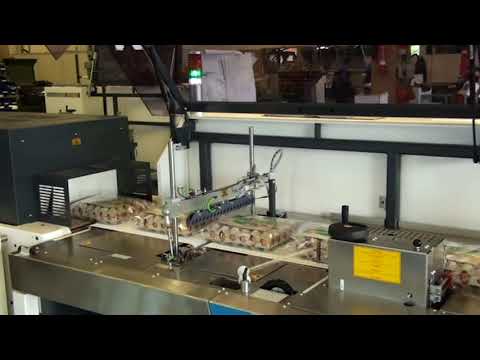 Eiertrays in Folie als Beutel- und Schrumpfverpackung