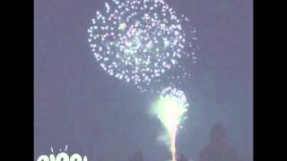 Painted Palms - Tracers