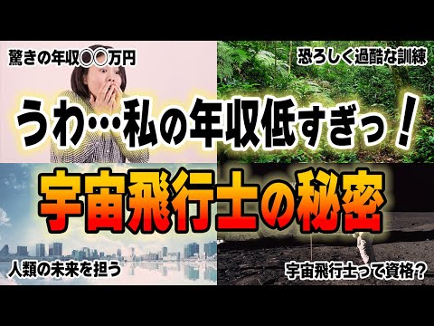 最初に特許を取得した飛行士: ルイ・ブレリオ