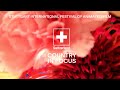 Switzerland In Focus At ITFS 2025 Swiss Animation Highlights Featured Films