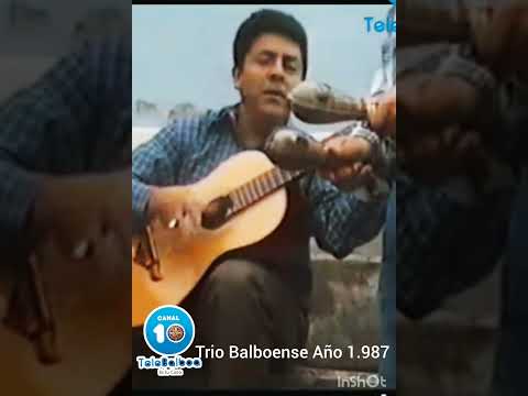 HOMENAJE A LAS MADRES , TRIO DE BALBOA CAUCA AÑO 1987