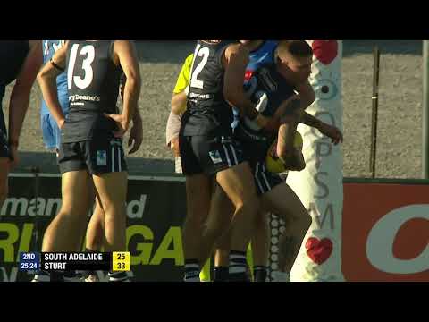 Round 4 Statewide Super League Marks of the Week