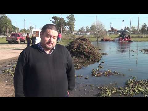LIMPIEZA DEL LAGO SHANGRILÁ EN CIUDAD DE LA COSTA