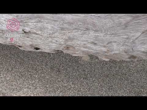 Leo Abrahams - Yield (The Ambient Zone)