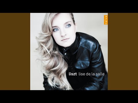 Ständchen in D Minor (After Schubert) , S. 560