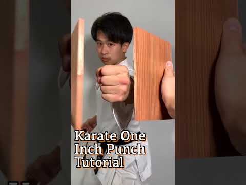 Karate One Inch Punch Tutorial!