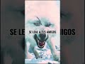 El código del lobo//créditos al creador