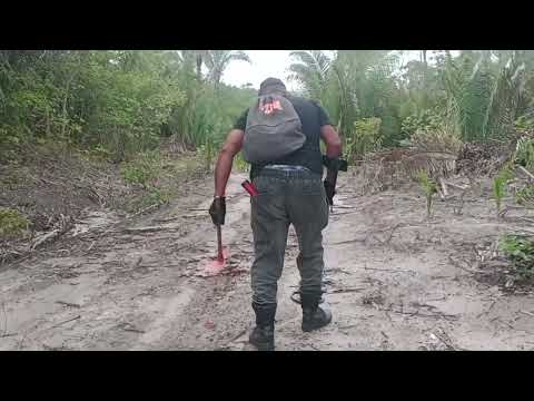 DETECTORISMO EM MONSENHOR GIL PIAUÍ 