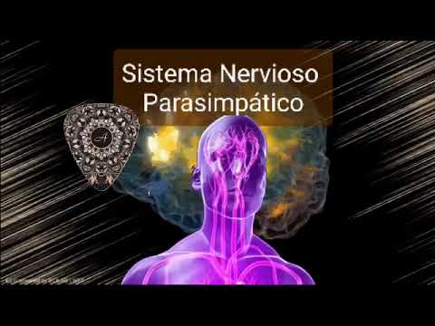 ☄️432 Hz - Tono vagal - Maneras de estimular el nervio vago - Sistema nervioso parasimpático - Repar