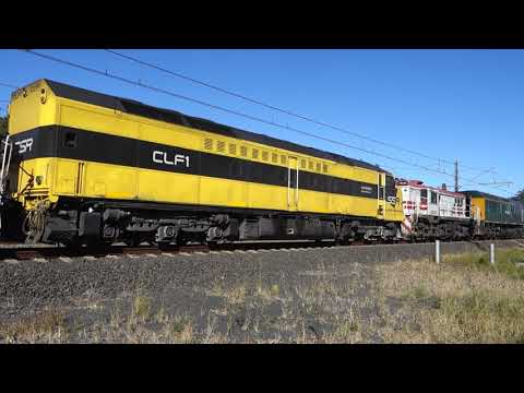 RL307 / 48s28 / CLF1 / 48s33 / RL305 with SSR empty grain 2543 - 8/6/22